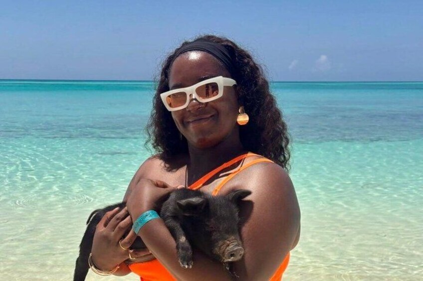 Swimming Pigs Of Rose Island Water Taxi & Turtle Viewing Nassau 4
