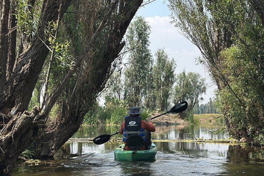Una persona en kayak en un río tranquilo rodeado de árboles. 1