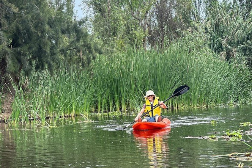 Una persona haciendo kayak en un río tranquilo, rodeada de altos cañaverales y árboles. 2