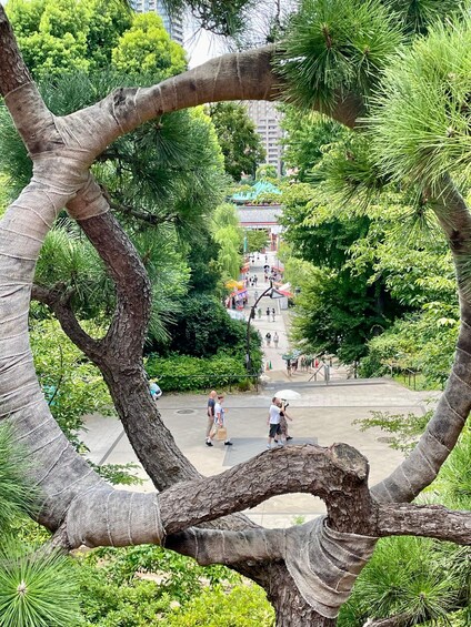 A park with a large tree trunk framing the view, people walking, and a building with a green roof in the background. 2