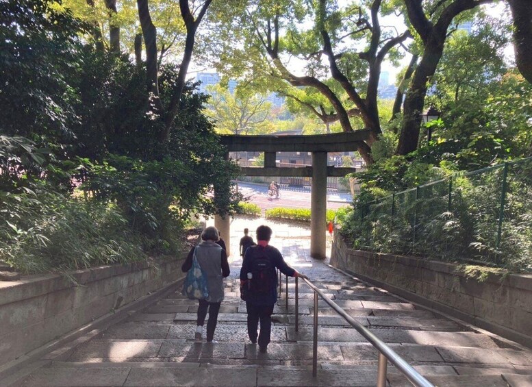 A stone staircase leading up to a covered area surrounded by trees. 4
