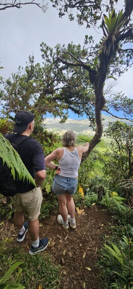 Picture 8 for Activity Nevis: Nevis Peak Guided Hike 2