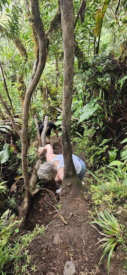 Picture 1 for Activity Nevis: Nevis Peak Guided Hike 3
