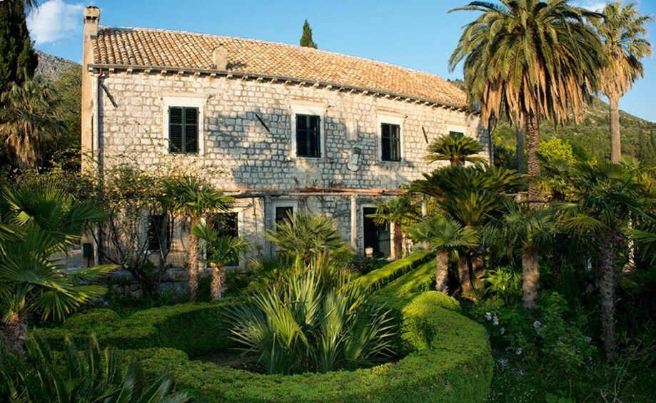 Picture 4 for Activity Dubrovnik: Private Tour Arboretum Trsteno & Viewpoint Wine 3