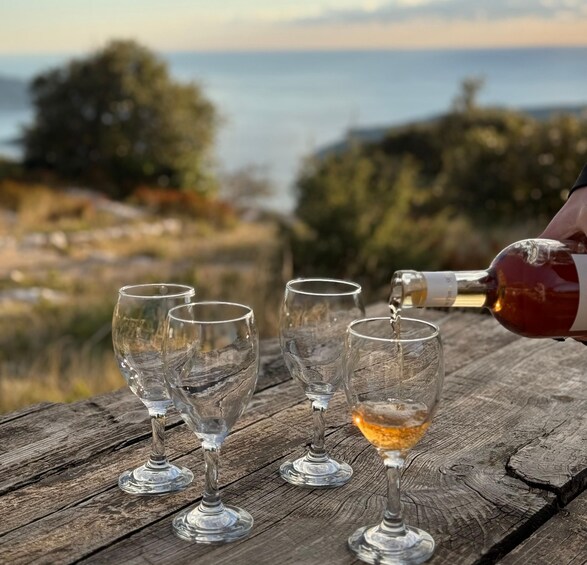 Picture 9 for Activity Dubrovnik: Private Tour Arboretum Trsteno & Viewpoint Wine 2