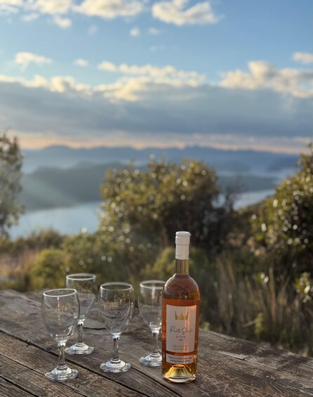 Picture 6 for Activity Dubrovnik: Private Tour Arboretum Trsteno & Viewpoint Wine 5