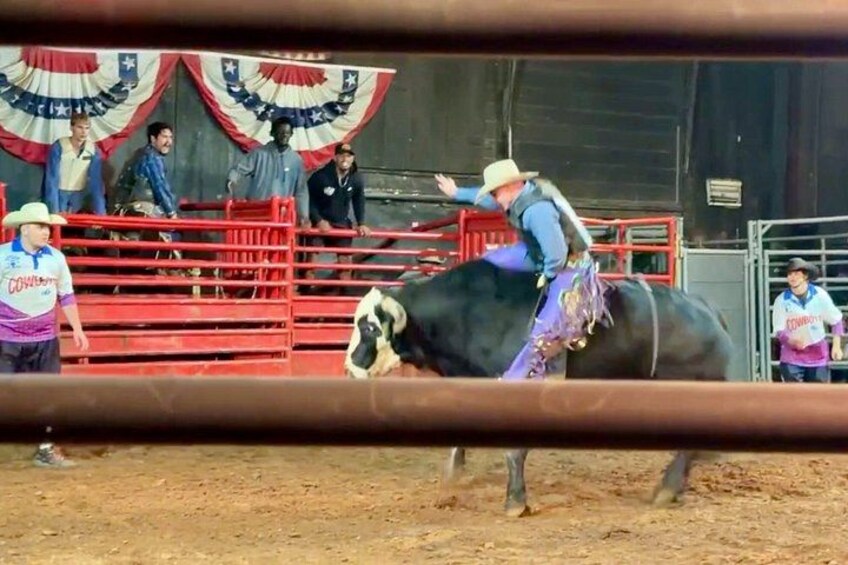 Live bull riding 4