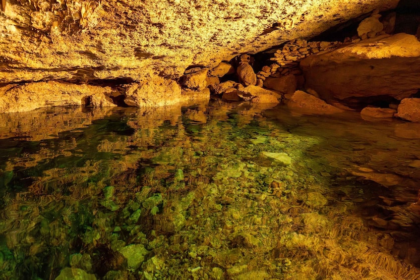 Picture 1 for Activity Mérida: Private Cenote, Massage and Temazcal experience 2