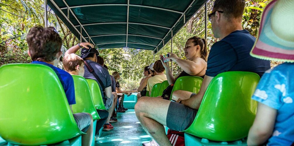 People seated in green chairs under a green canopy, likely on a boat or train, surrounded by greenery. 3