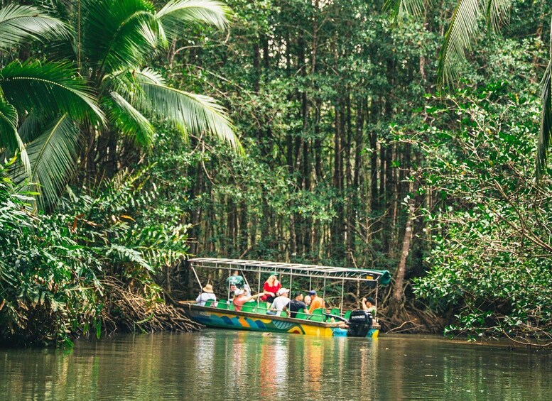 A boat with passengers on a river surrounded by dense tropical vegetation. 2