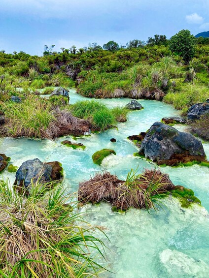 A clear river with rocks and lush greenery. 1
