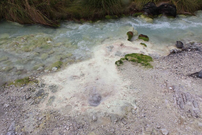 A clear stream with rocks and moss. 5