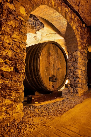Picture 6 for Activity Château-Thierry: Belleau Wood & tour of a Champagne Cave 2