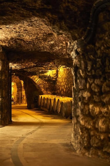 Picture 4 for Activity Château-Thierry: Belleau Wood & tour of a Champagne Cave 5