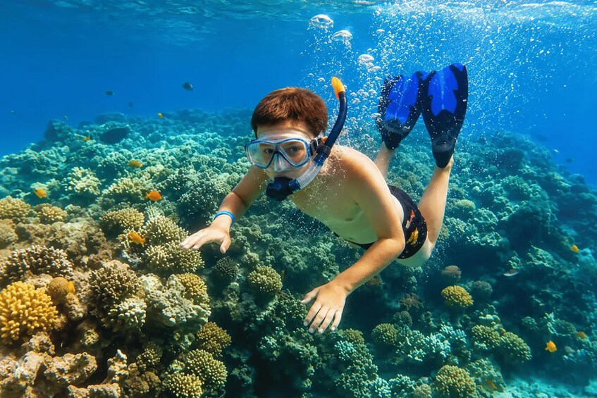 Nosy Be Day Trip: Nosy Komba Lemurs & Tanikely Snorkeling 1