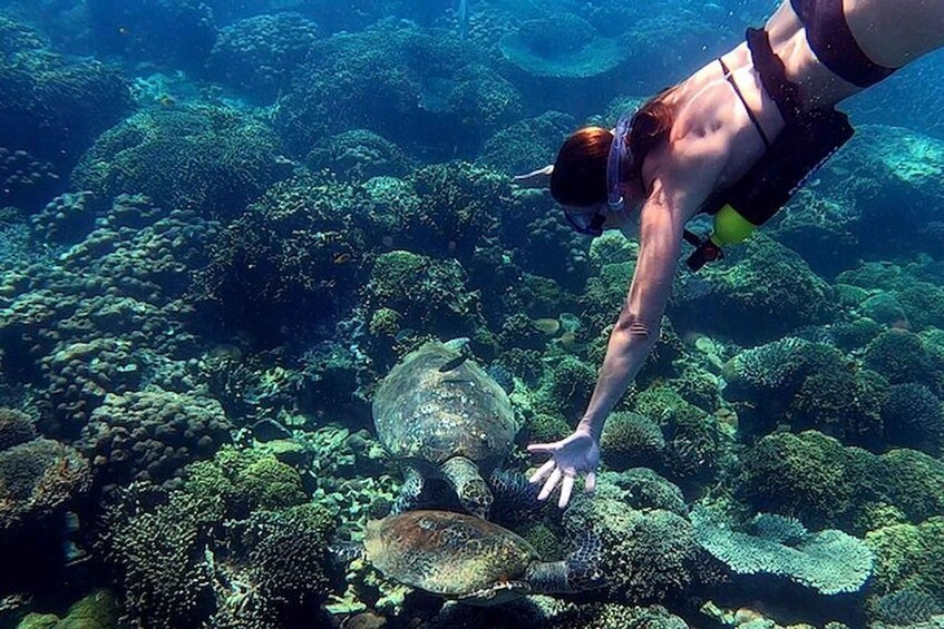 A person snorkeling underwater with a sea turtle. 1