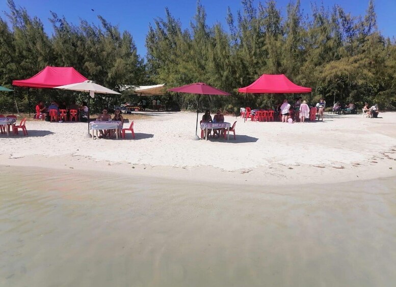 Picture 10 for Activity Mauritius: Speedboat Ile aux Cerfs, GRSE Waterfall, BBQ, Bar 3