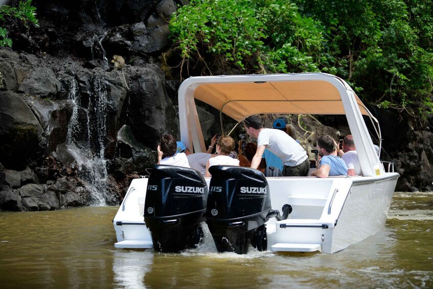 Picture 2 for Activity Mauritius: Speedboat Ile aux Cerfs, GRSE Waterfall, BBQ, Bar 5