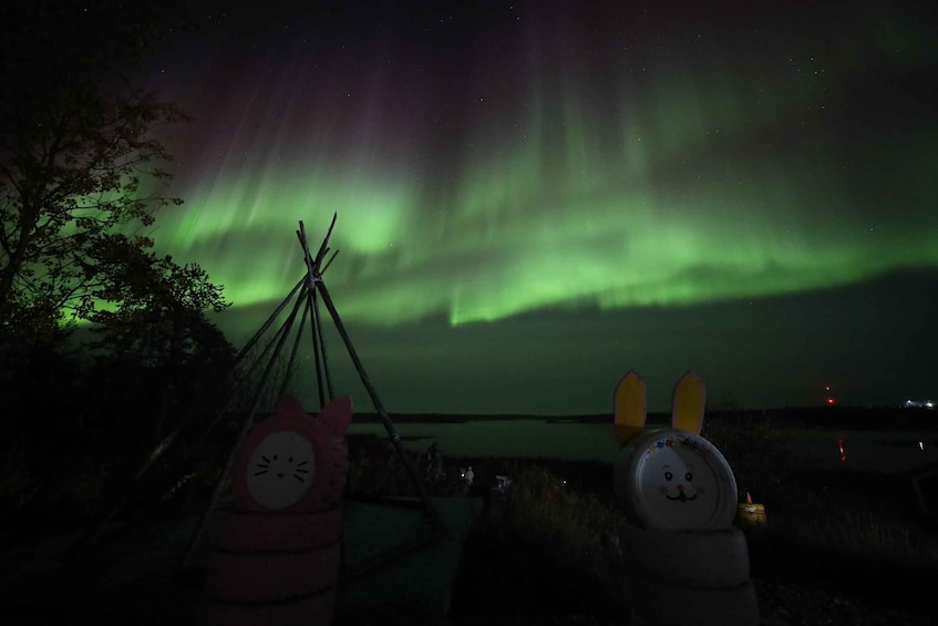 A night scene with the Northern Lights and two animal-shaped decorations. 4