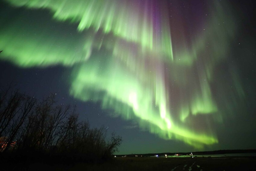 The Northern Lights over a landscape with sparse trees and distant lights. 3