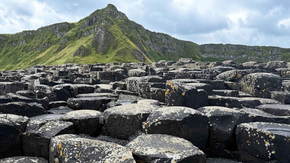 From Belfast: Giants Causeway Day Trip (Extra Leg Room Bus) 1