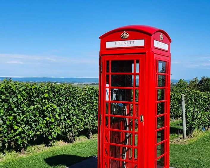 A red telephone booth with the name 'Luckett' in a rural setting with a hedge and a clear sky. 1