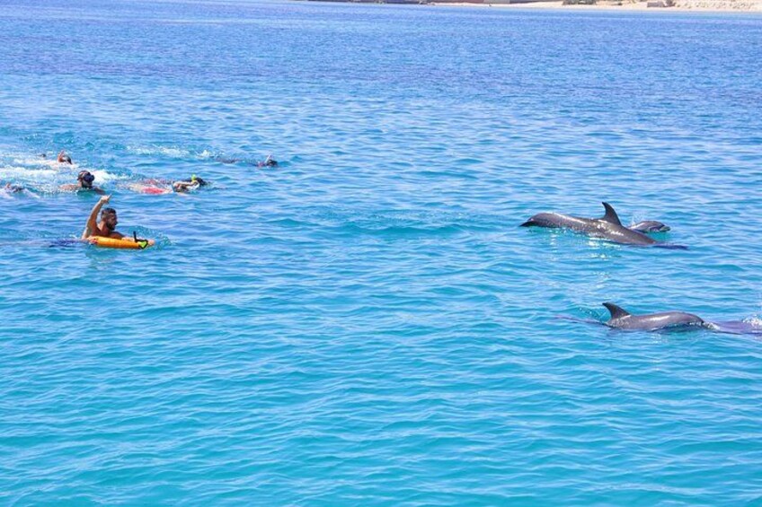 Dolphin House Snorkeling Trip from Hurghada with Lunch 2
