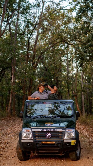 Picture 5 for Activity Bandhavgarh National Park Tiger Safari (Jeep or Canter) 3