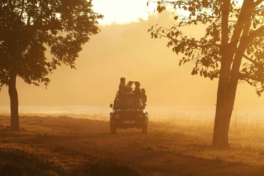Picture 5 for Activity Bandhavgarh National Park Tiger Safari (Jeep or Canter) 2