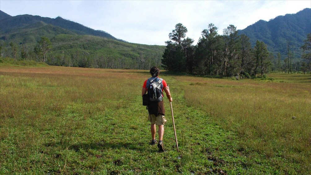 Picture 4 for Activity Jarabacoa: Pico Duarte 3-Day Guided Trekking Tour 3