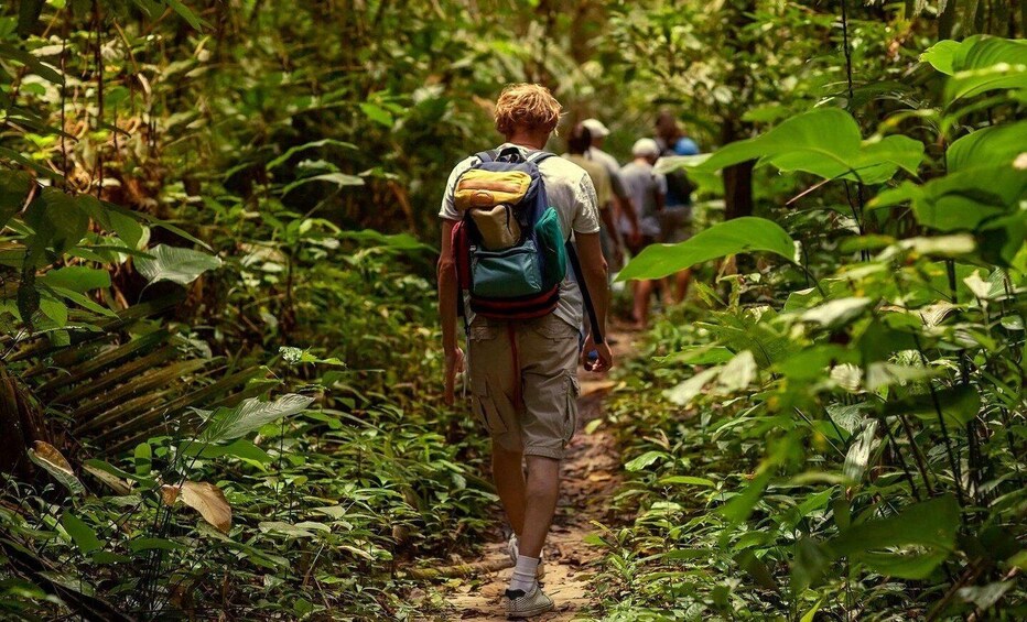 Picture 5 for Activity Jarabacoa: Pico Duarte 3-Day Guided Trekking Tour 2