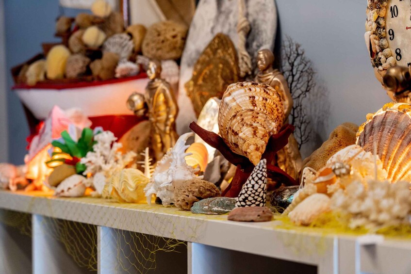 A variety of seashells and decorative items on a shelf. 3