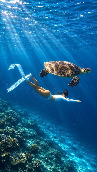 Picture 6 for Activity Moalboal: Canyoneering and Snorkeling Day Trip with Lunch 2