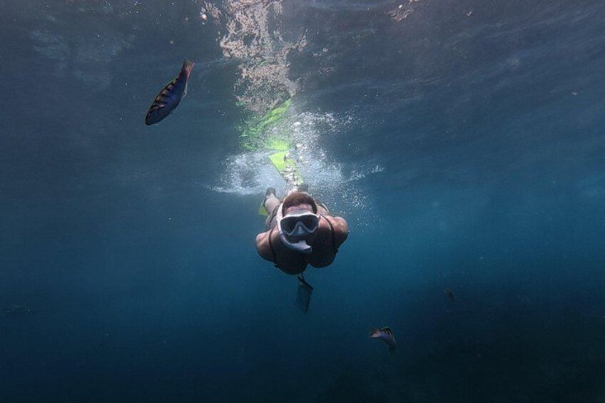 A person scuba diving underwater with fish around. 5