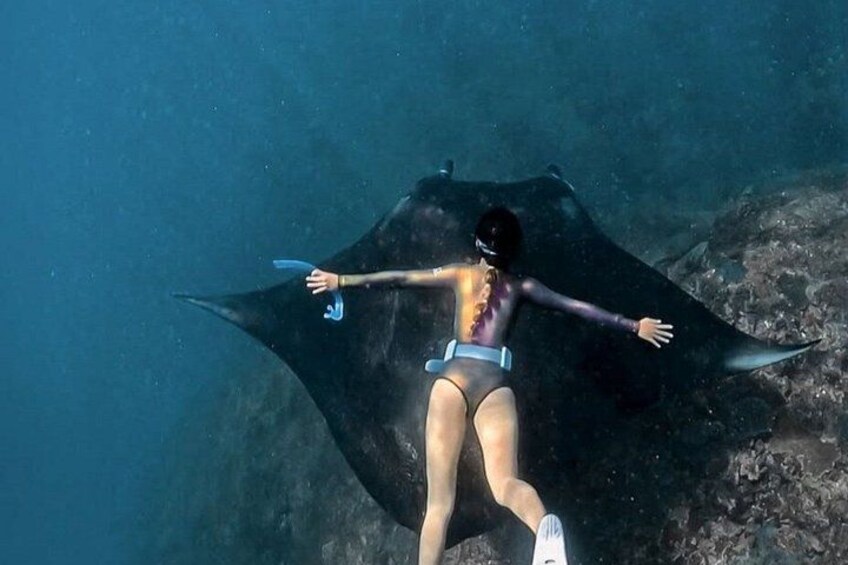 A person scuba diving with a stingray. 1