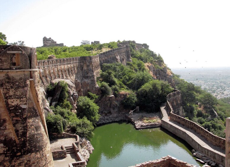 Picture 12 for Activity From Udaipur: Chittorgarh Fort Trip with Pushkar Drop-off 3
