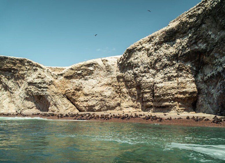 Eine felsige Küstenlinie mit klarem Wasser und einem Sandstrand. 4