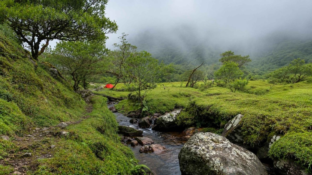 A lush green landscape with a stream, a red tent, and a person walking in the distance. 5