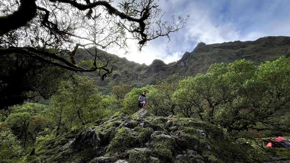A person sitting on a rock surrounded by lush greenery and mountains in the background. 3
