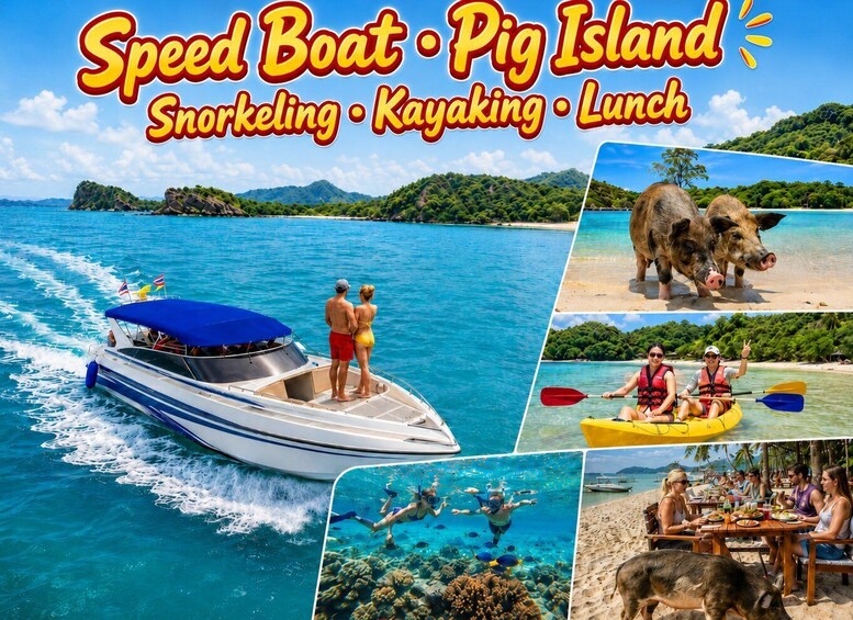 A speed boat on water, a pig on a beach, people kayaking, and a group dining on a beach. 1