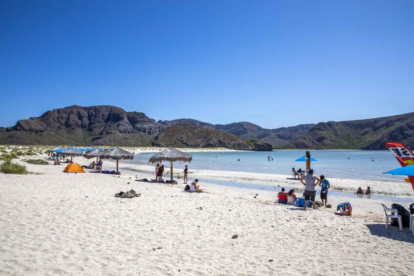 A sandy beach with tents, umbrellas, and people. 3
