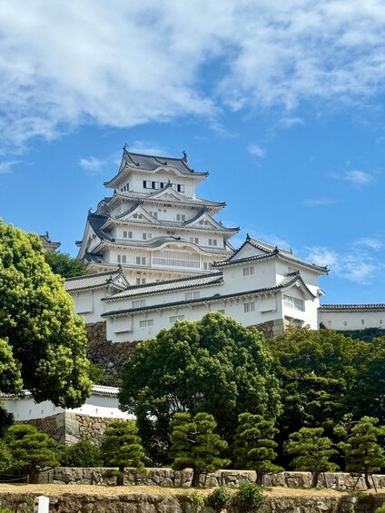 Picture 7 for Activity Kobe and Himeji day tour with English speaking driver 2