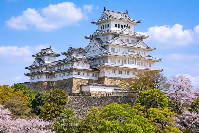 A traditional Japanese castle with multiple tiers and white walls, surrounded by lush greenery and cherry blossoms. 5