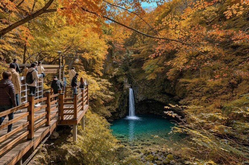 From Seoul : Pocheon Herb Island & Pigeonang Waterfall Day Trip 3