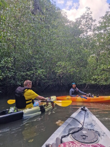 Picture 6 for Activity Small Group, Big Heart: Kilim Karst Mangrove Kayak Adventure 2