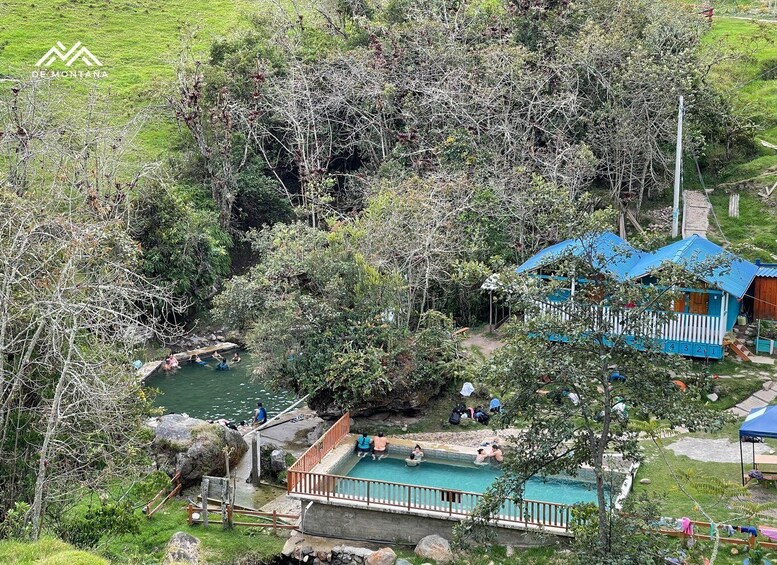 A natural hot spring surrounded by dense vegetation, a small wooden structure, and a swimming pool. 2
