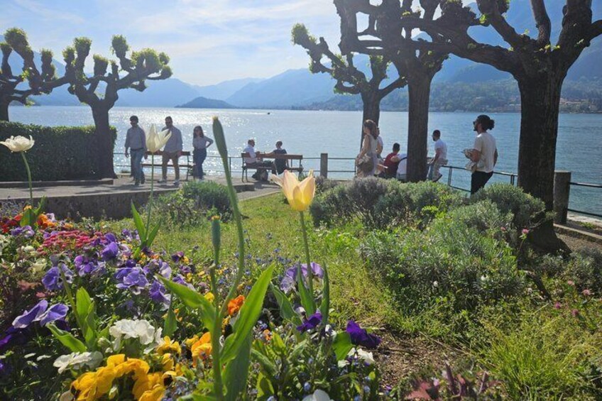Lake Como from Milan Villa Balbianello and Bellagio by Boat 5