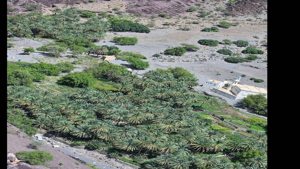 Guided mountain tour: Sayq Plateau & descent through the Wadi Muaydin 1
