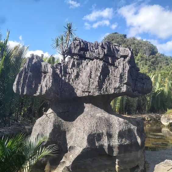 Picture 26 for Activity Maros : Rammang Rammang walk & boat trip 3