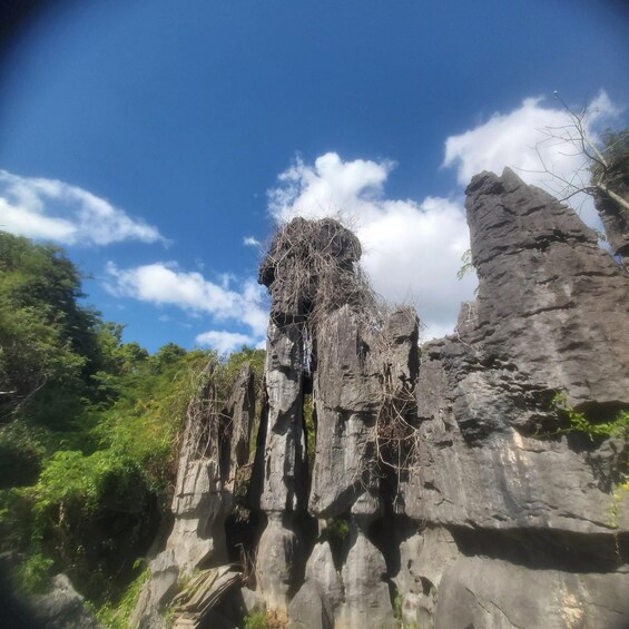 Picture 28 for Activity Maros : Rammang Rammang walk & boat trip 2